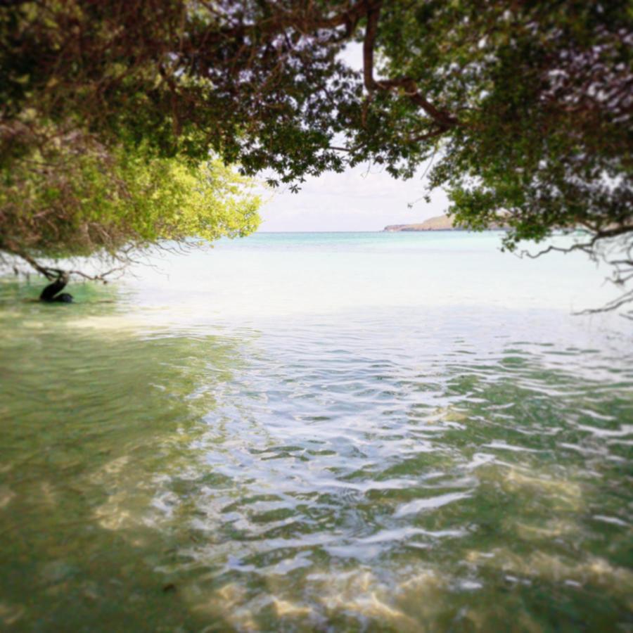 Boa Hill Surf House Hotel เนมบราลา ภายนอก รูปภาพ